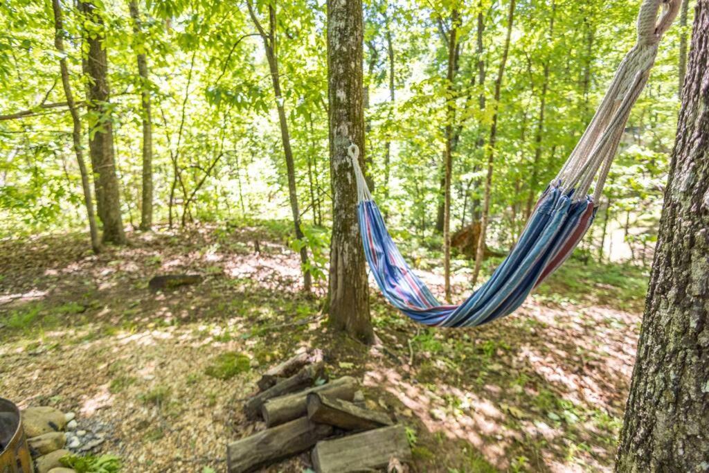 Pet Friendly Luxury Cabin Near Helen With Fire Pit Cleveland Eksteriør bilde