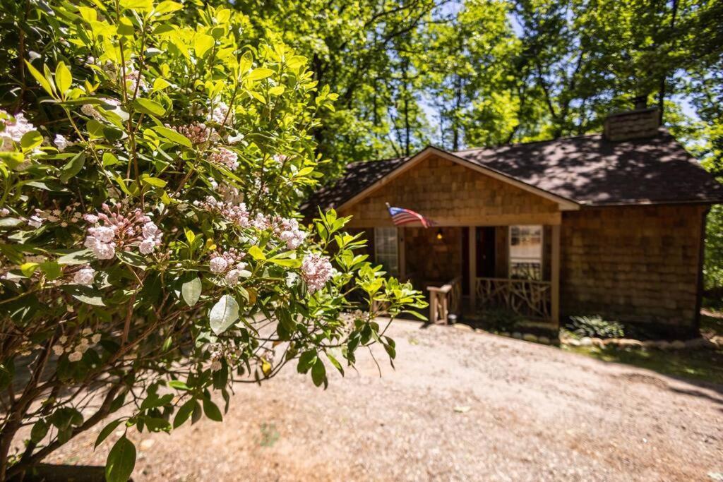 Pet Friendly Luxury Cabin Near Helen With Fire Pit Cleveland Eksteriør bilde